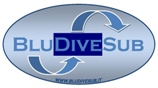 logo blu dive sub